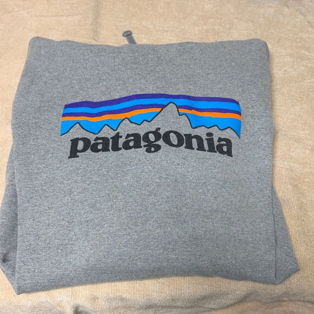 Patagonia Gray Hoodie with Colorful Logo - Picture 3 of 5